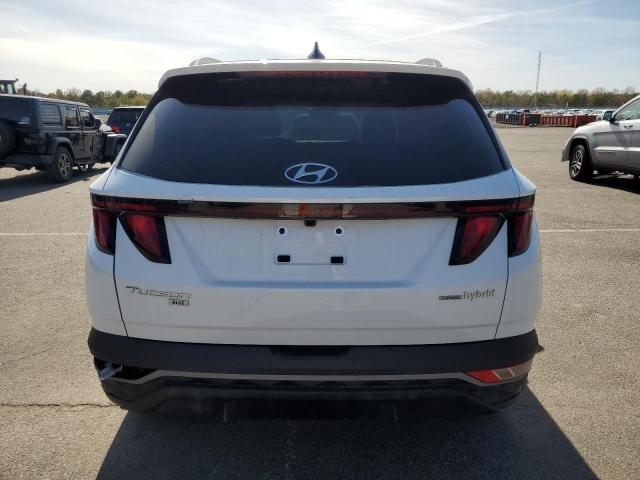 2024 HYUNDAI TUCSON BLU KM8JBCD13RU194897