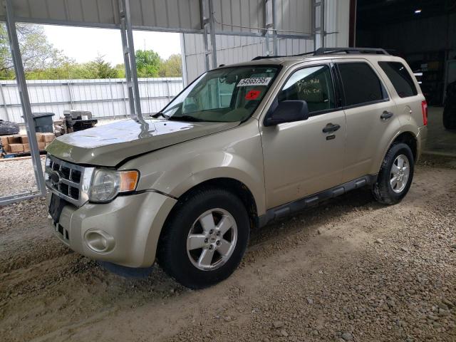 Vin: 1fmcu9dg0akc63569, lot: 54565795, ford escape xlt 2010 img_1