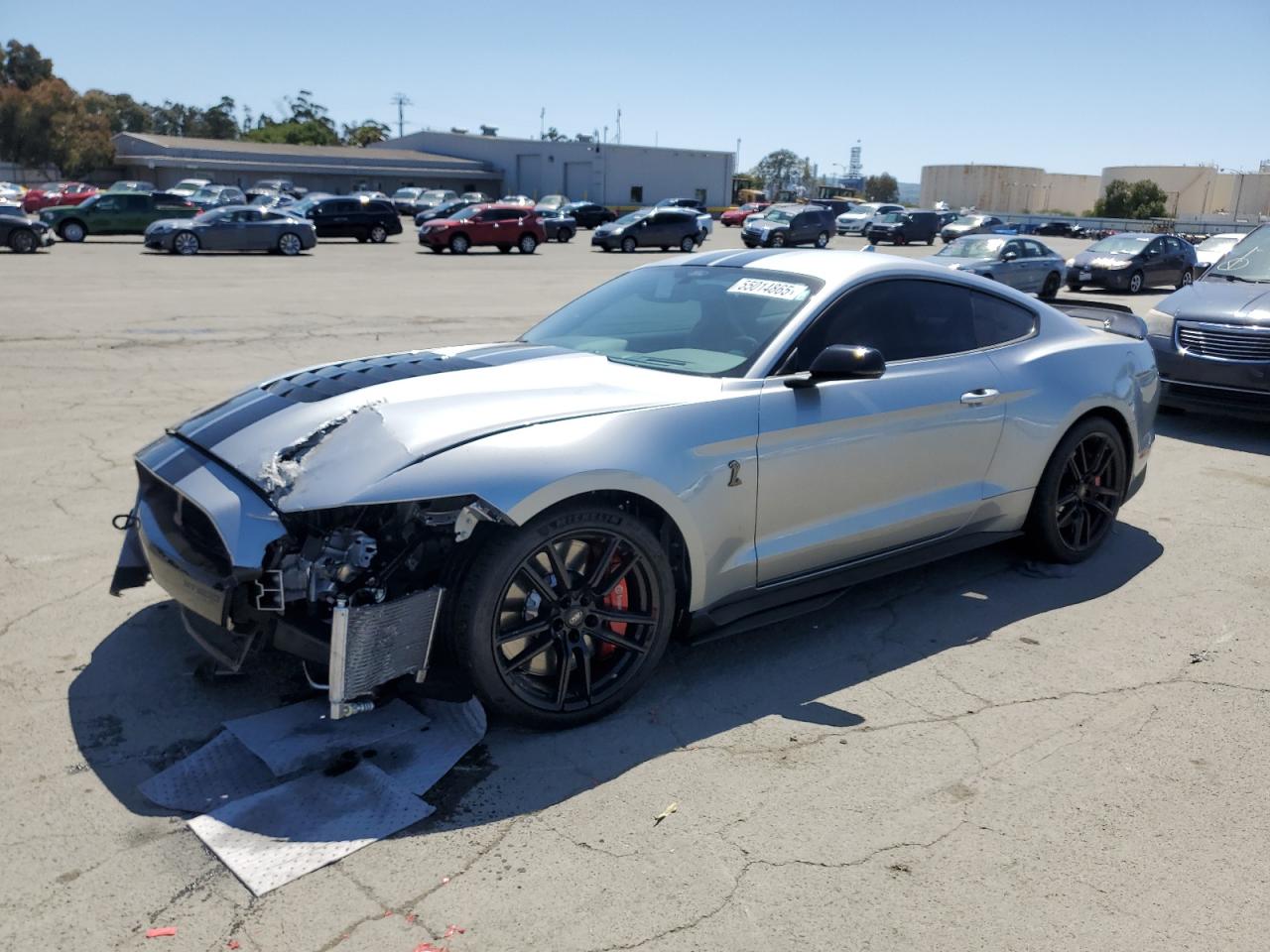 FORD MUSTANG SHELBY GT500