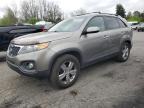 Top Destinations for Shipping Cars from the USA