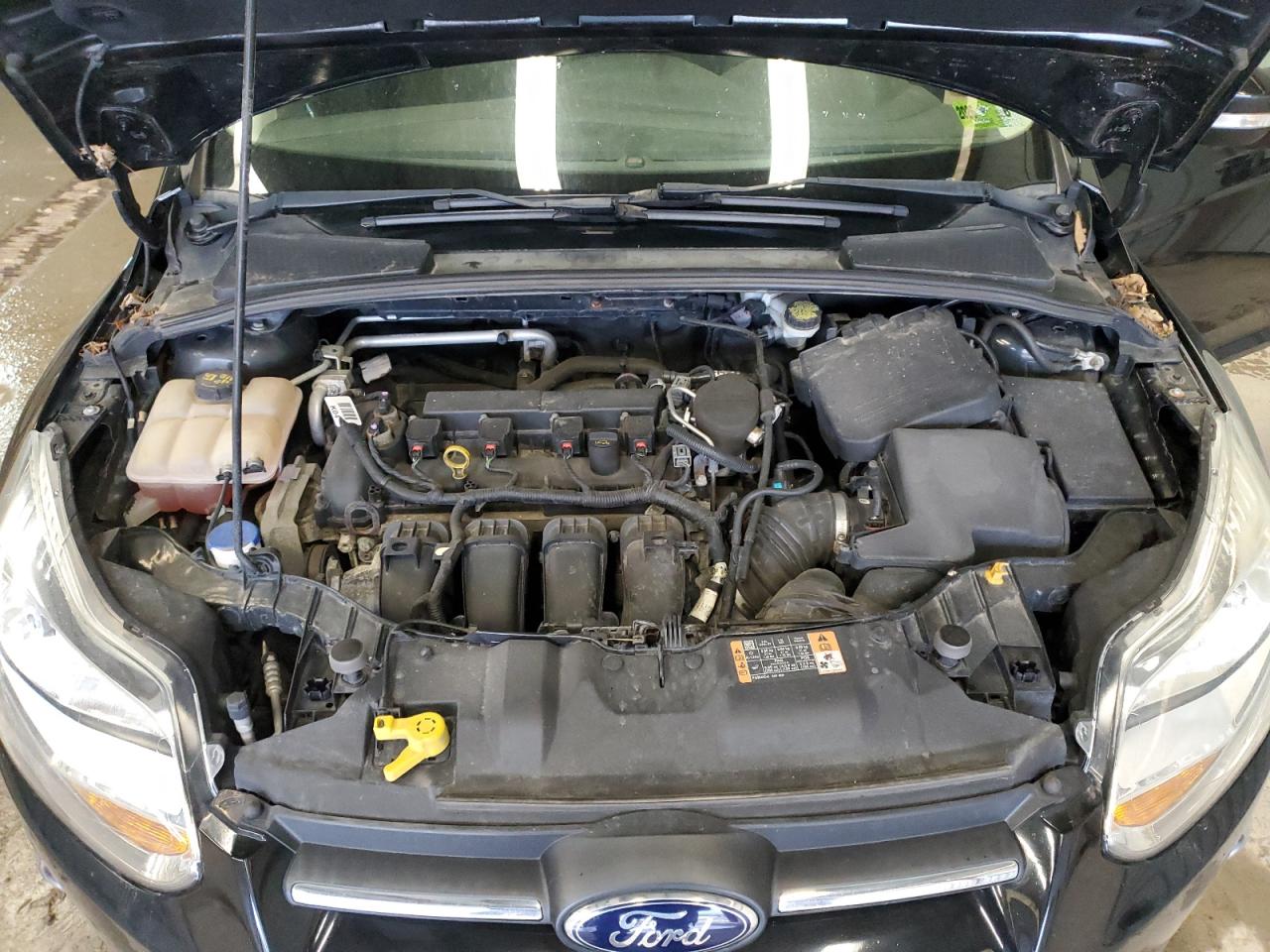 Lot #3148266887 2014 FORD FOCUS SE