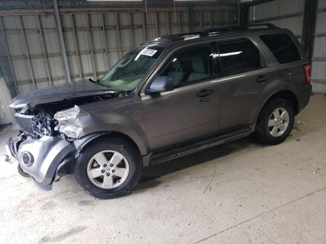 Vin: 1fmcu9dg3akc25303, lot: 52807705, ford escape xlt 2010 img_1