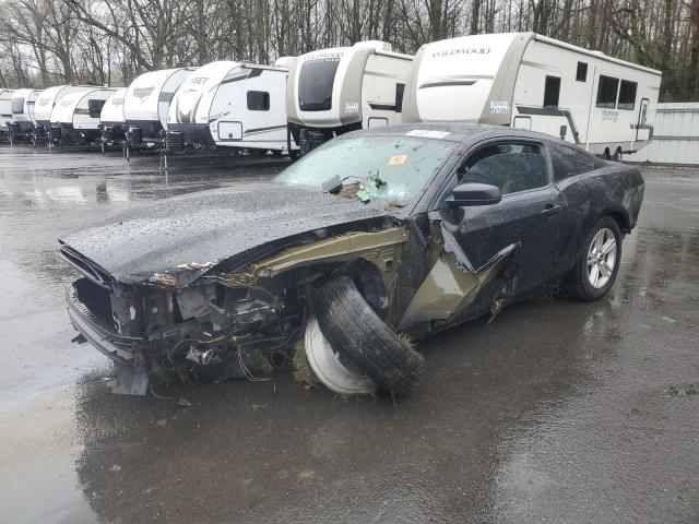 Vin: 1zvbp8am8e5202385, lot: 52687175, ford all models 2014 img_1