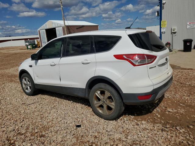 2014 FORD ESCAPE SE - 1FMCU9GX3EUD33135