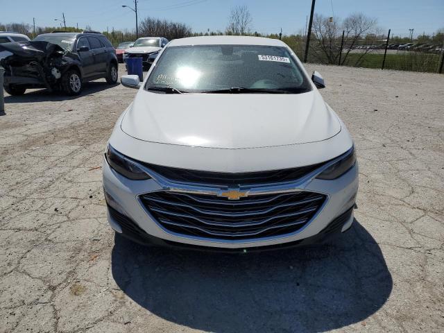 2019 CHEVROLET MALIBU LT - 1G1ZD5ST3KF176310