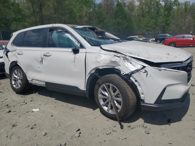 Vin: 2hkrs4h75rh481597, lot: 54177025, honda crv exl 20244