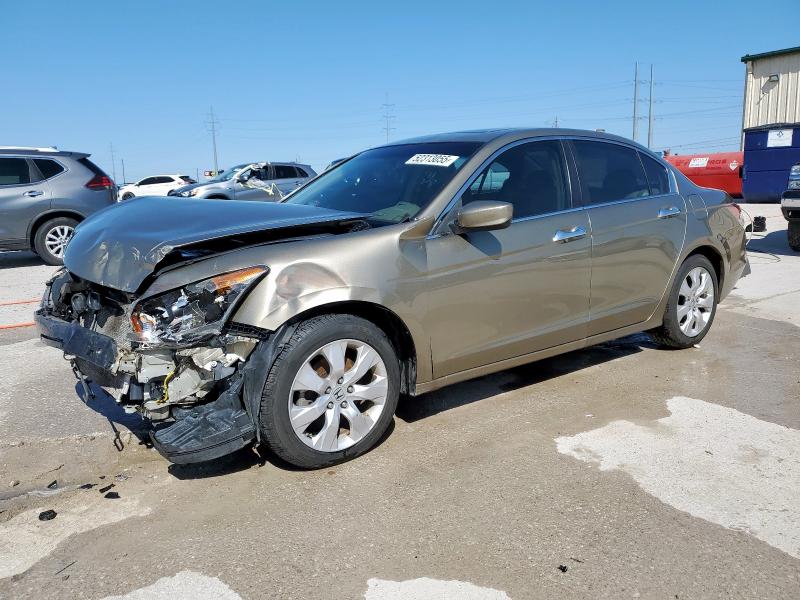 HONDA ACCORD EXL
