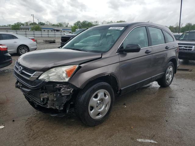 Vin: 5j6re3h32al036601, lot: 54681645, honda crv lx 2010 img_1
