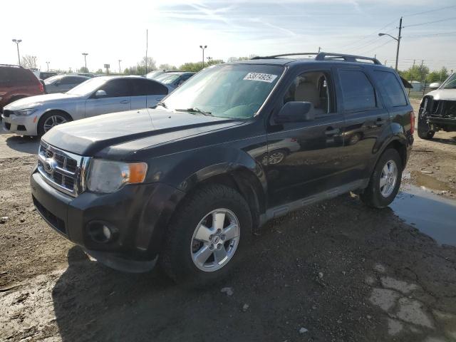 Vin: 1fmcu9dg6cka56641, lot: 53874925, ford escape xlt 2012 img_1