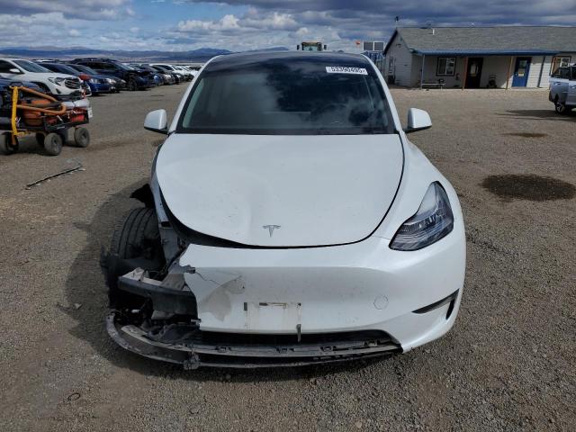 2023 TESLA MODEL Y - 7SAYGAEE2PF584621