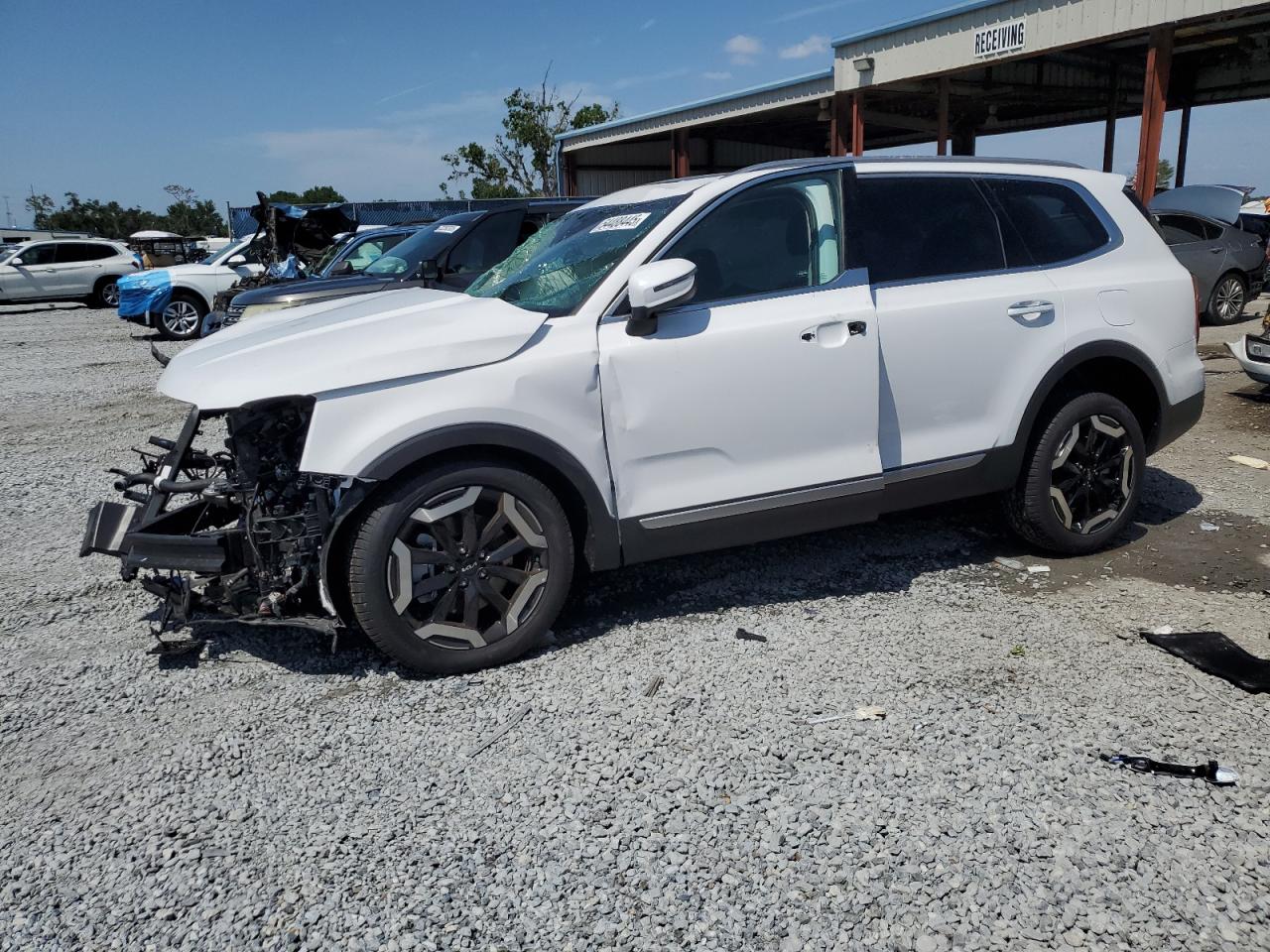 Lot #3281404982 2025 KIA TELLURIDE