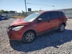 2015 FORD ESCAPE S - 1FMCU0F73FUA99559