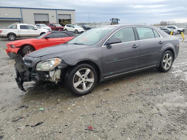 Vin: 1g1zc5eu4bf290498, lot: 51740945, chevrolet malibu 1lt 2011 img_1