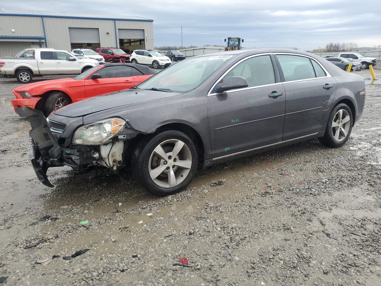 CHEVROLET MALIBU 1LT