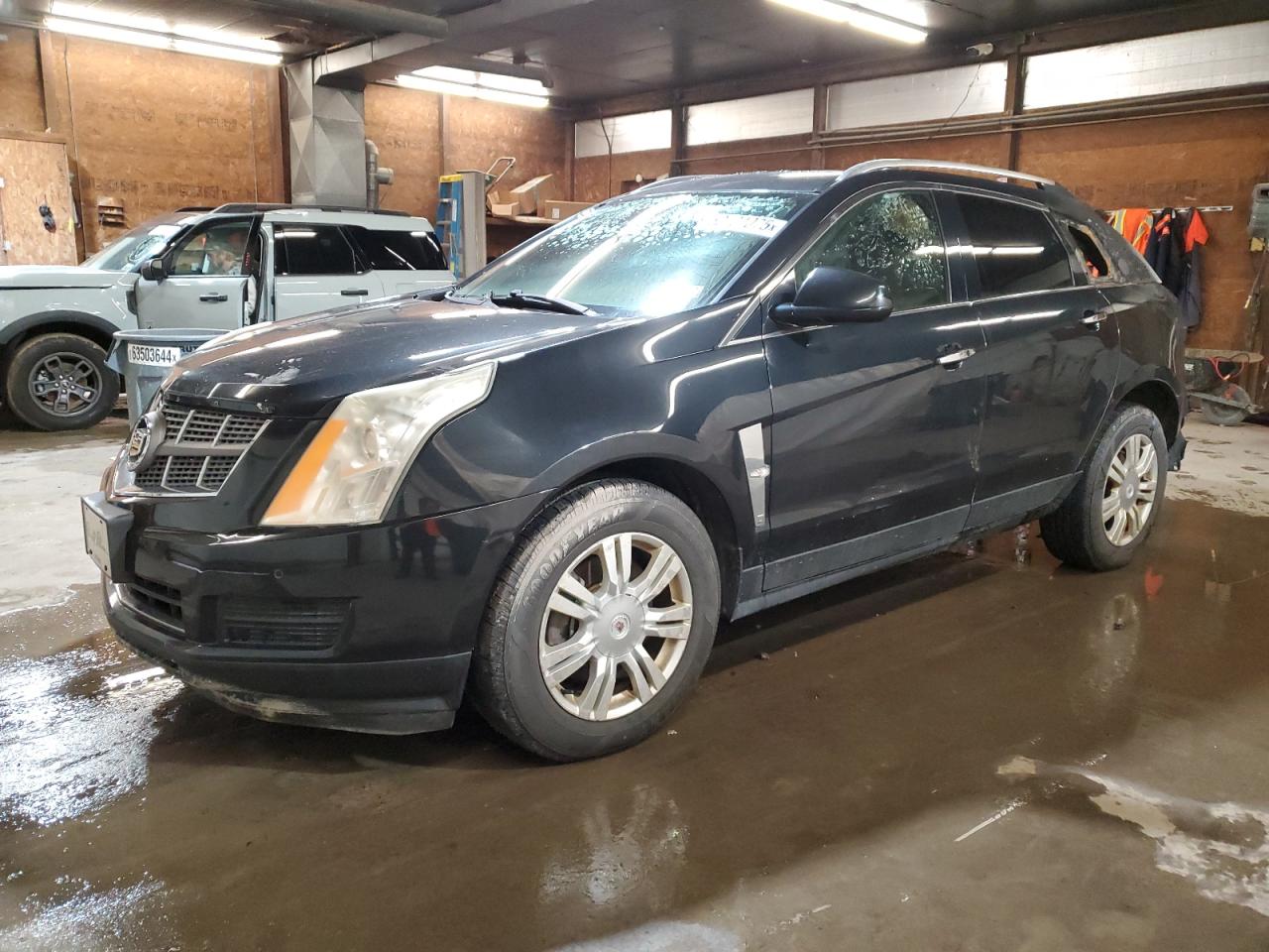 CADILLAC SRX LUXURY COLLECTION