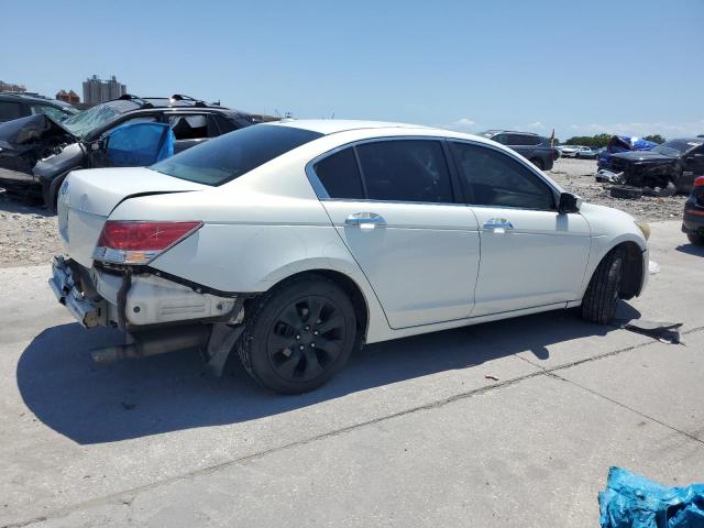 HONDA ACCORD EXL 2010 white  gas 5KBCP3F80AB013830 photo #4