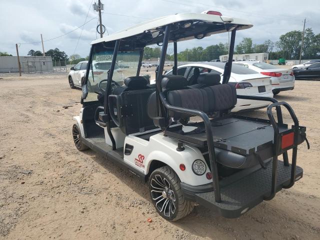 OTHER RV GOLF CART 2021 white   5FCDD13D7M2001608 photo #4
