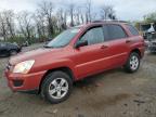 Top Destinations for Shipping Cars from the USA