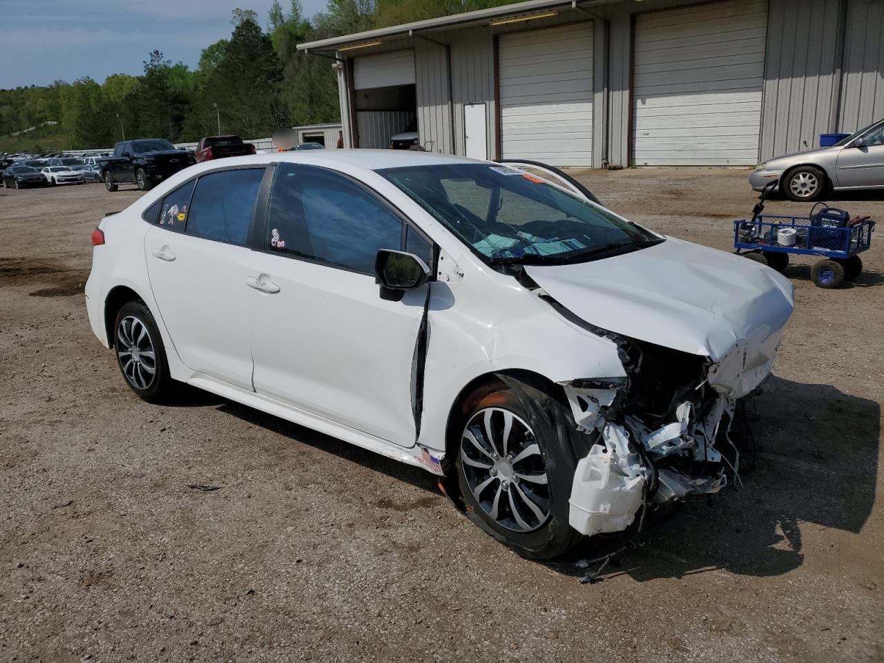 Global Auto Auctions