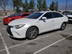 2016 TOYOTA CAMRY HYBR - 4T1BD1FK5GU190307