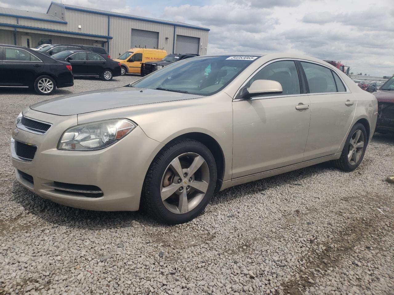 CHEVROLET MALIBU 1LT