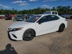 2019 TOYOTA CAMRY L - 4T1B11HK9KU198005