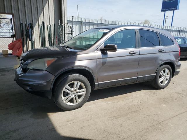 Vin: 5j6re4h72al072832, lot: 53504155, honda crv exl 2010 img_1