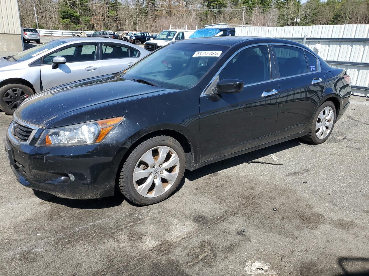 Lot #3204607749 2009 HONDA ACCORD EXL