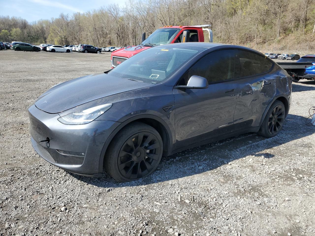 TESLA MODEL Y