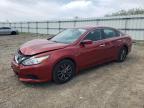Top Destinations for Shipping Cars from the USA