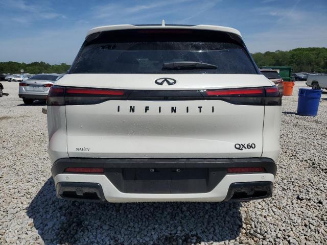2025 INFINITI QX60 LUXE - 5N1AL1FR5SC348607
