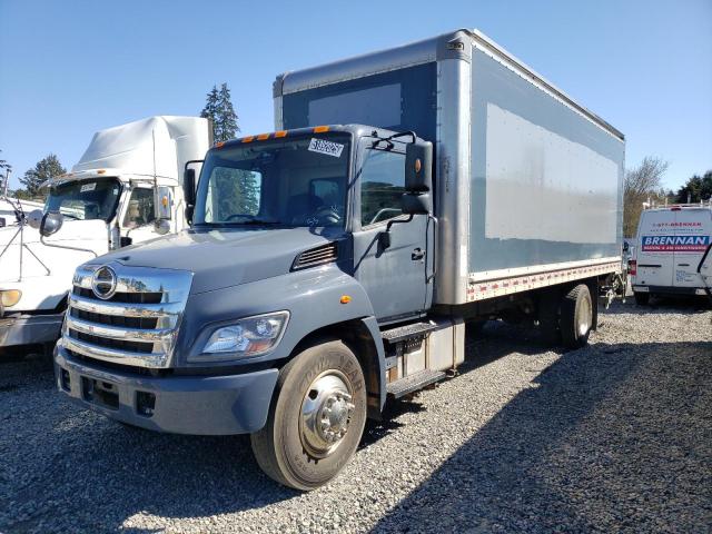 HINO 258/268 2020 blue  diesel 5PVNJ8JT3L4S59346 photo #1