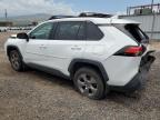 Lot #3292366265 2021 TOYOTA RAV4 XLE