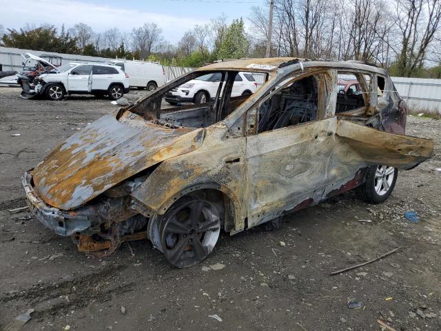 Vin: 1fmcu0gxxeua81170, lot: 52793675, ford escape se 2014 img_1