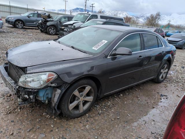 Vin: 1g1zc5e13bf212171, lot: 50982685, chevrolet malibu 1lt 2011 img_1