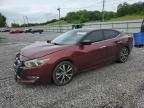 2016 NISSAN MAXIMA 3.5 - 1N4AA6AP3GC444357