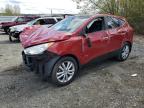 Top Destinations for Shipping Cars from the USA