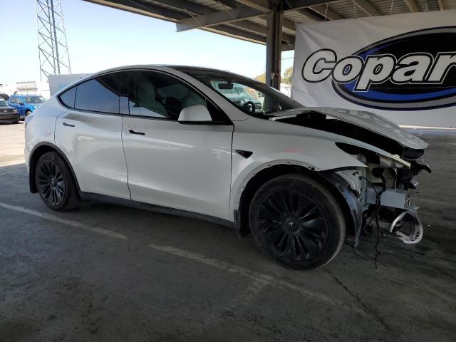 2023 TESLA MODEL Y - 7SAYGDEE8PF620703