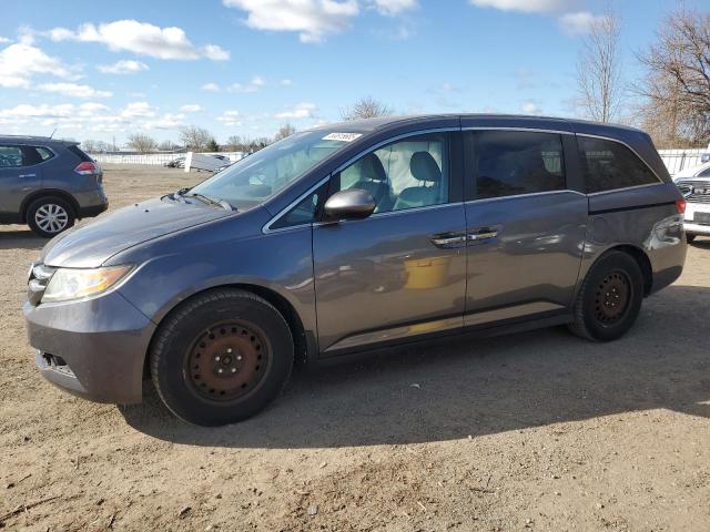 Vin: 5fnrl5h42gb504130, lot: 53815685, honda all models ex 2016 img_1