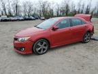 Top Destinations for Shipping Cars from the USA