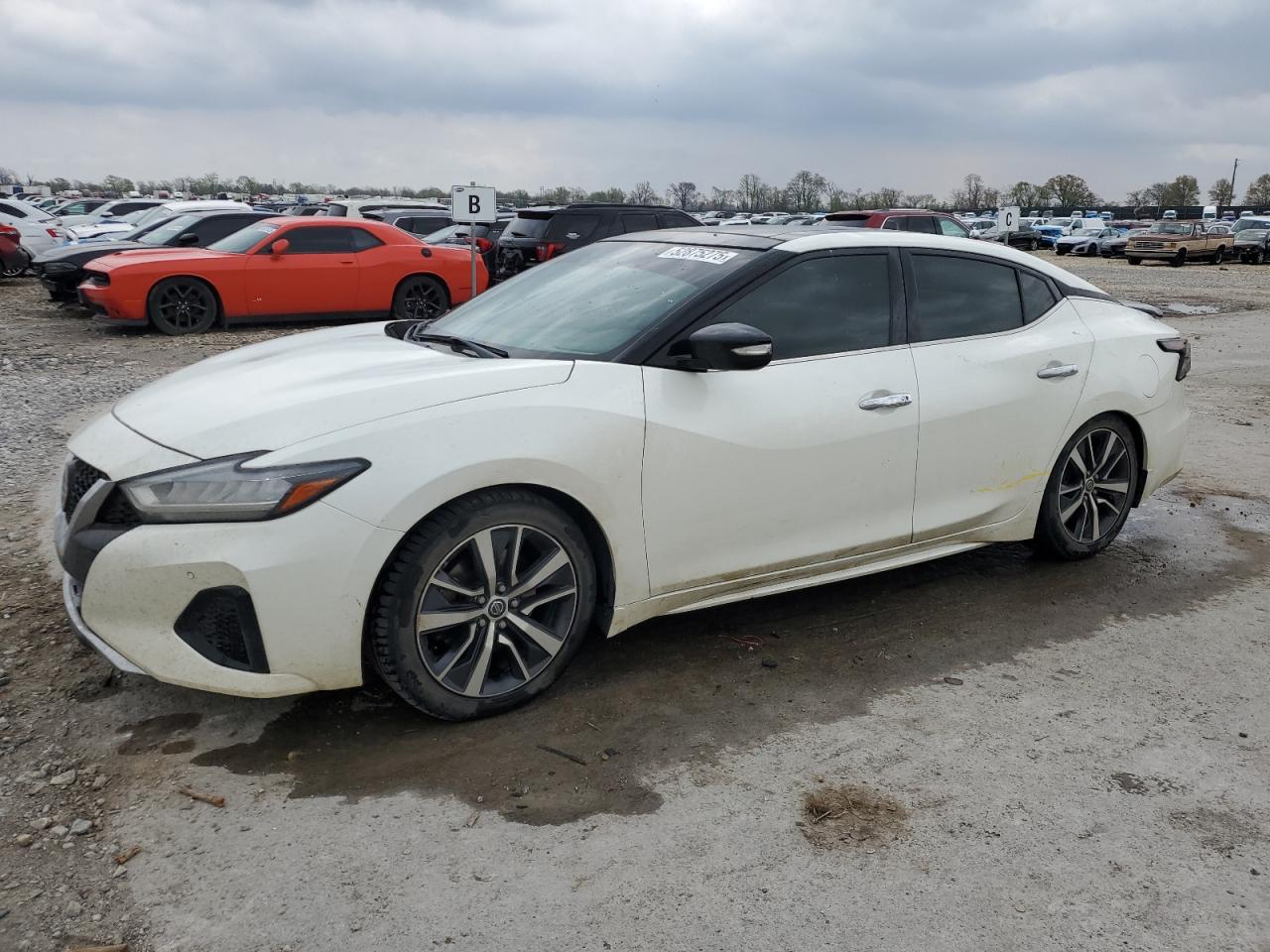 NISSAN MAXIMA S