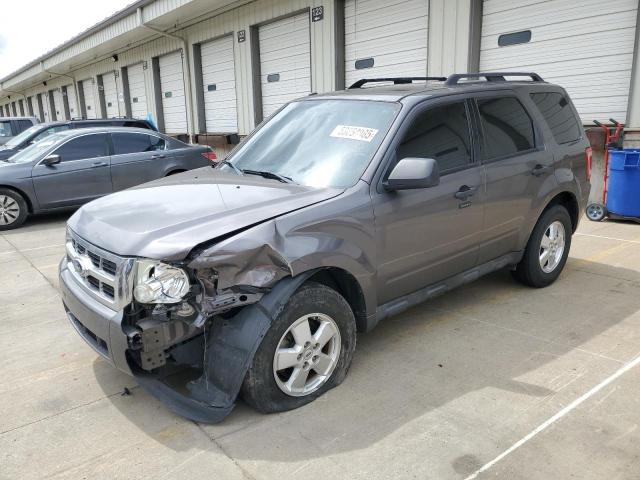 Vin: 1fmcu0d78bkb02531, lot: 53858085, ford escape xlt 2011 img_1