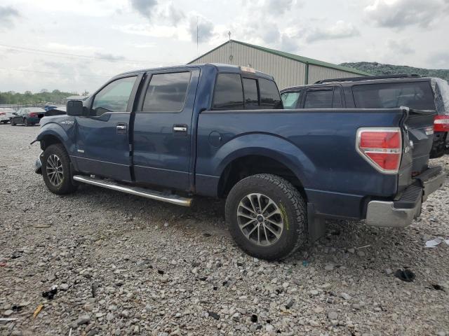 Vin: 1ftfw1ct2dfc63436, lot: 55115965, ford f-150 supercrew 20132