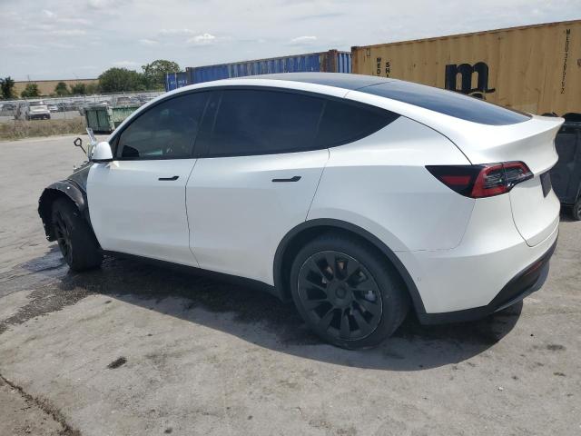 Vin: 5yjygdee7mf190090, lot: 53857065, tesla model y 20212