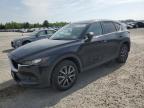 Top Destinations for Shipping Cars from the USA