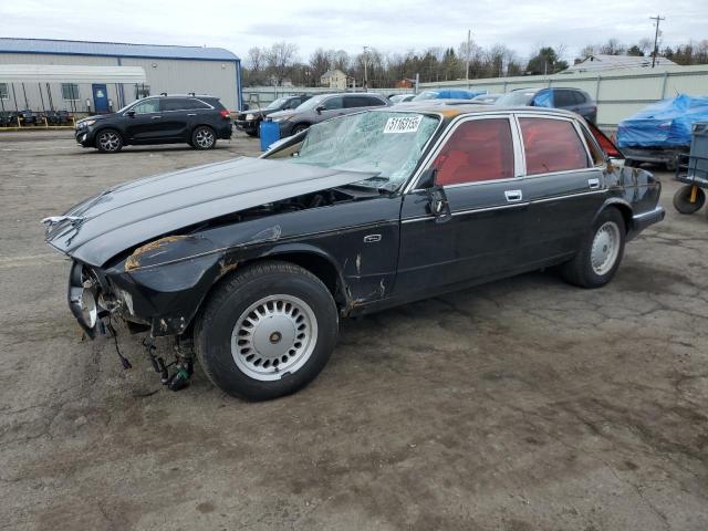 JAGUAR VANDENPLAS