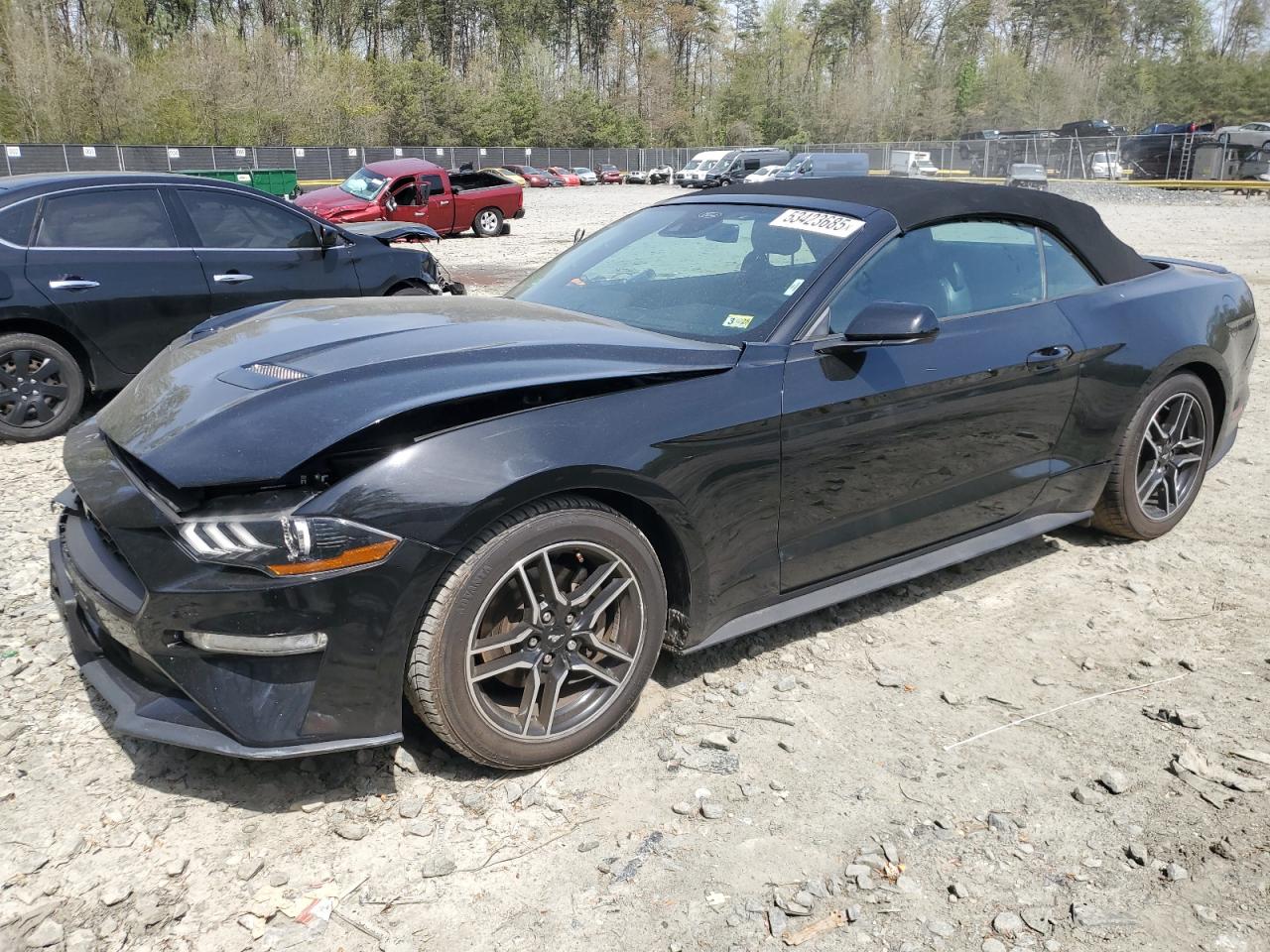 FORD MUSTANG