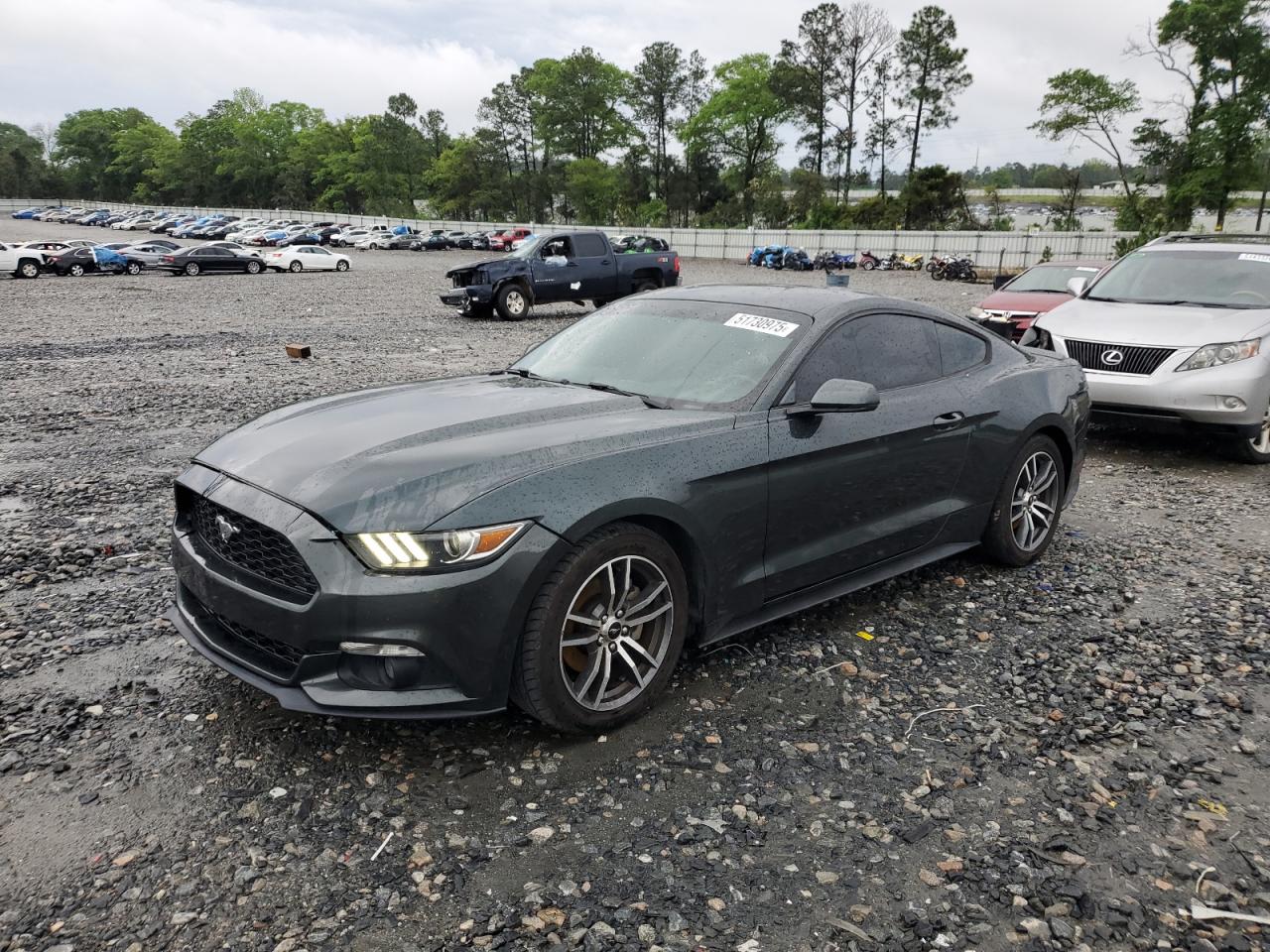 FORD MUSTANG