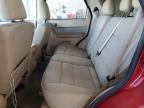 Lot #3303951685 2011 FORD ESCAPE XLT