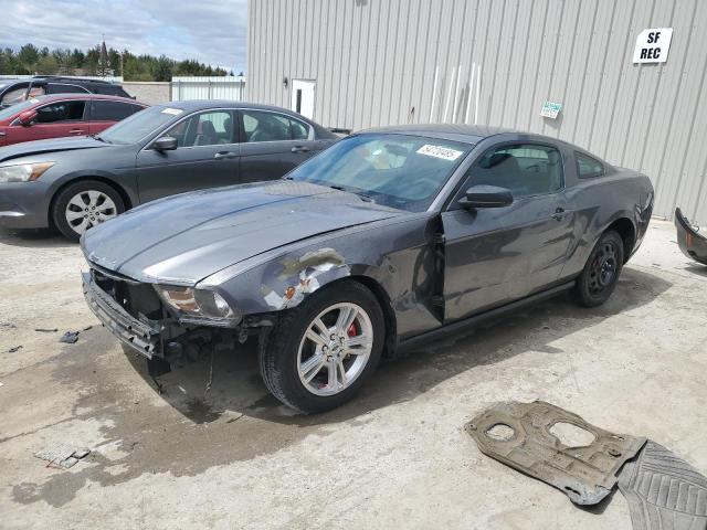 Vin: 1zvbp8an2a5150254, lot: 54720485, ford all models 2010 img_1